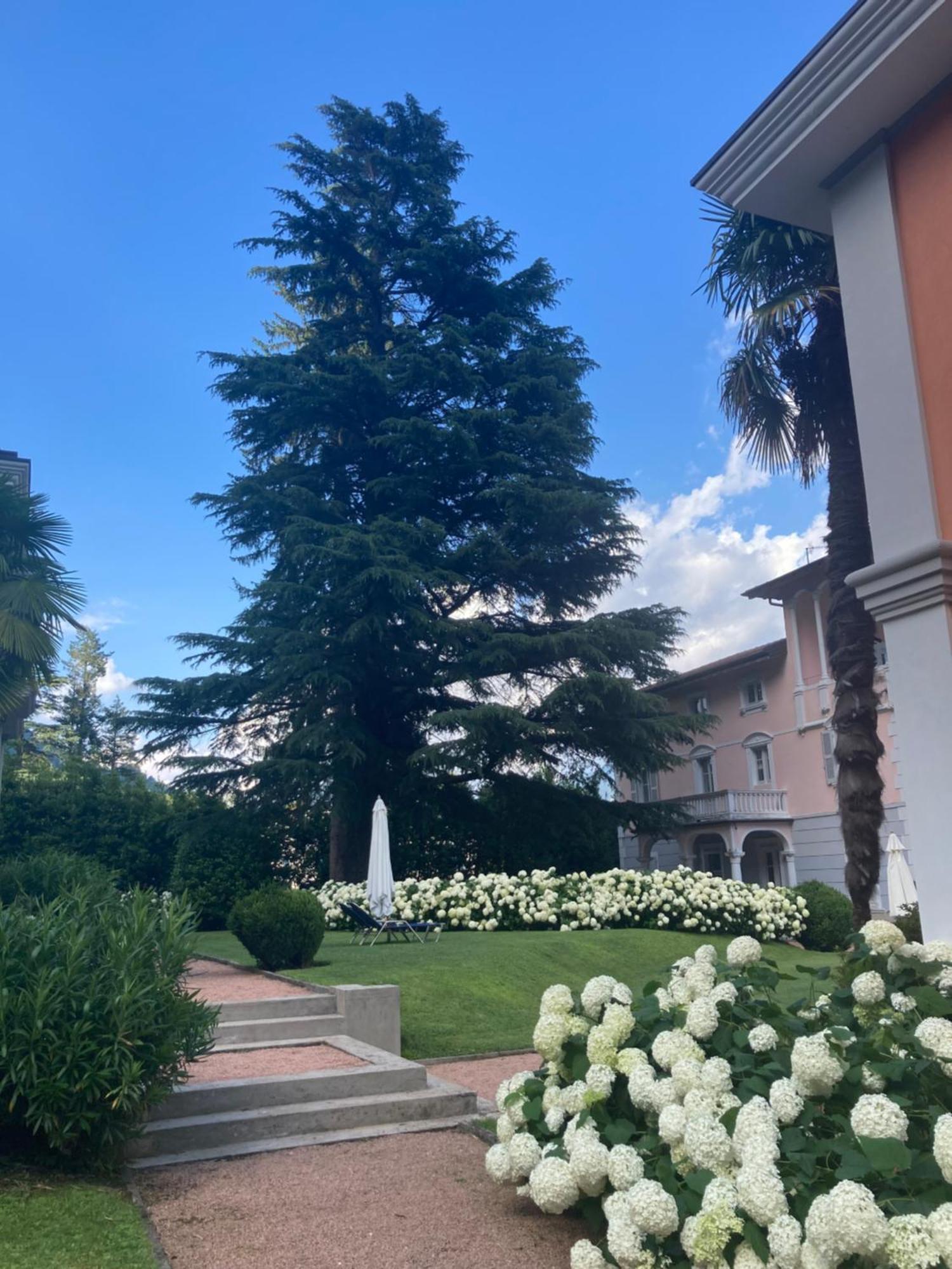 Ville Lago Lugano Porto Ceresio Exteriör bild